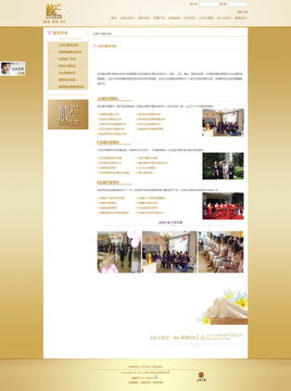 天照科技案例赏析 心妃兰品牌官网的精致呈现与上海网站建设的专业之道