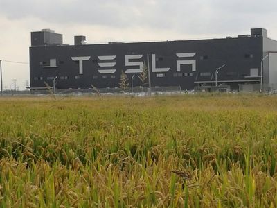 狼真来了！特斯拉上海工厂投产，国产Model 3下线，十个月创奇迹，三季度盈利——对中国新能源市场的深远影响