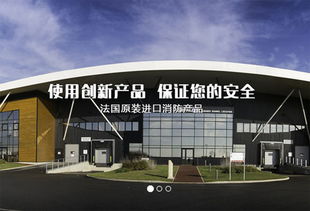 上海建网站公司成功签约法国代福中国，助力企业数字化升级